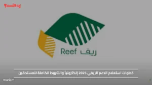 خطوات استعلام الدعم الريفي 2025 إلكترونياً والشروط الكاملة للمستحقين